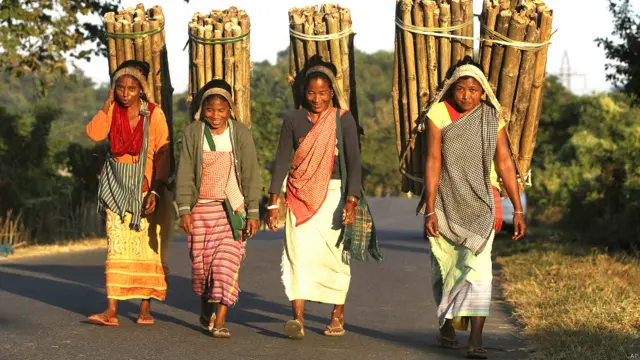 भारत, कृषि प्रधान देश, अर्थव्यवस्था,आदिवासी महिलाएं , आजीविका