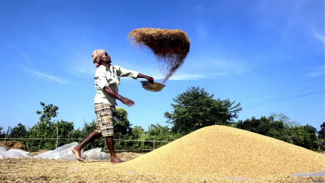 भारत, कृषि प्रधान देश, अर्थव्यवस्था, त्रिपुरा, अगरतला 