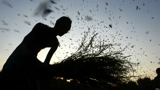 भारत, कृषि प्रधान देश, अर्थव्यवस्था,