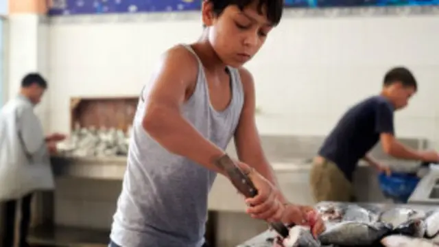 سلګونه ماشومان چې عمرونه ايله اووه کاله دي په کمو پيسو زيات کار کوي