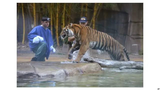 सनशाइन कोस्ट चिड़ियाघर