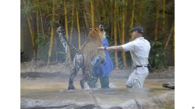 सनशाइन कोस्ट चिड़ियाघर