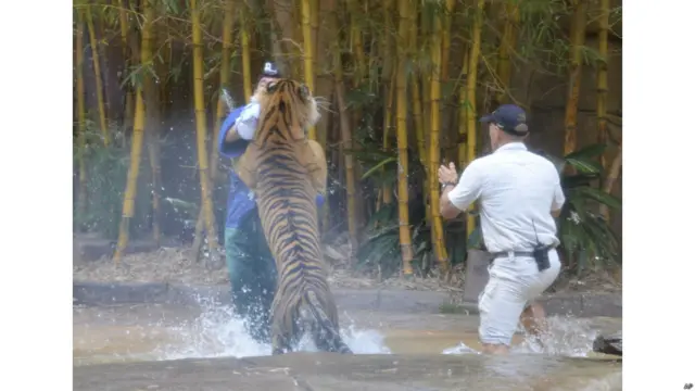 सनशाइन कोस्ट चिड़ियाघर