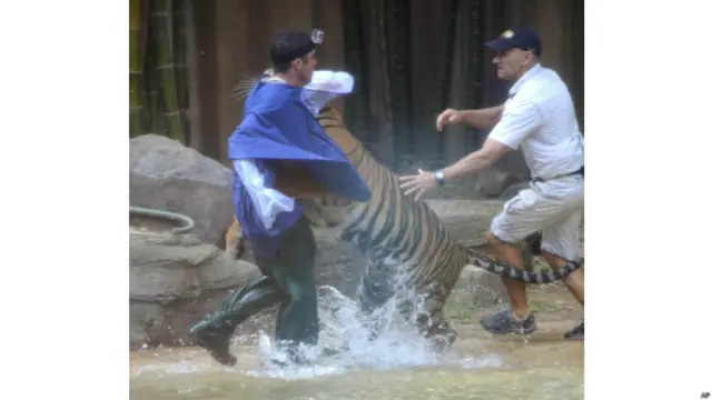 सनशाइन कोस्ट चिड़ियाघर