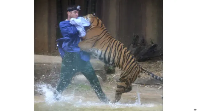 सनशाइन कोस्ट चिड़ियाघर