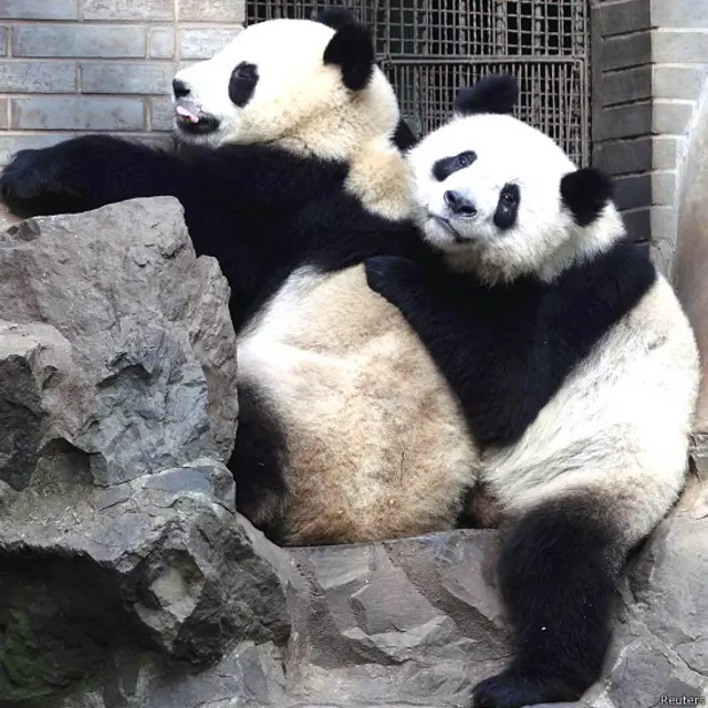 चिड़ियाघर, चीन