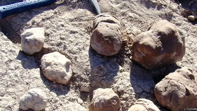 Excrementos fosilizados