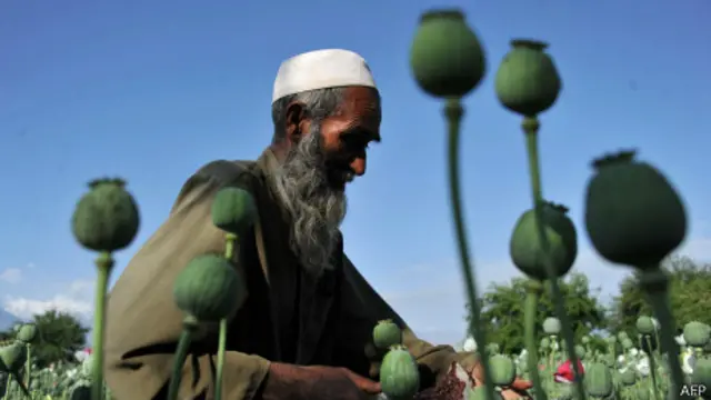 Афганский крестьянин