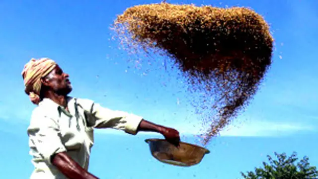 भारत में खेती और कीटनाशकों का इस्तेमाल