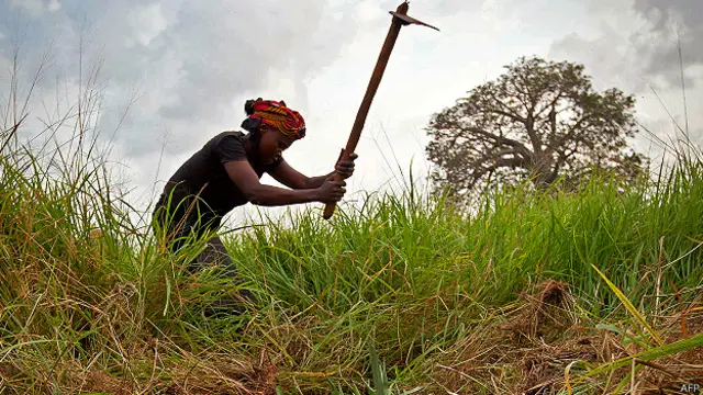 फ़ॉस्फ़ोरस खाद