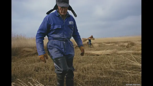 وعلى عكس المصورين الآخرين، فإن اعمال المصور جايسون بارتيكا تقتصر على المناطق الريفية بشرق انجلترا. 