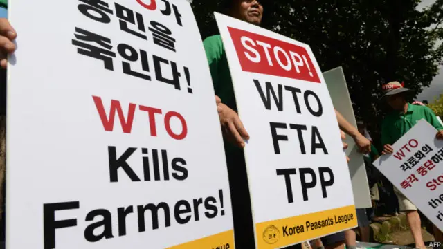 विश्व व्यापार संगठन, प्रदर्शन