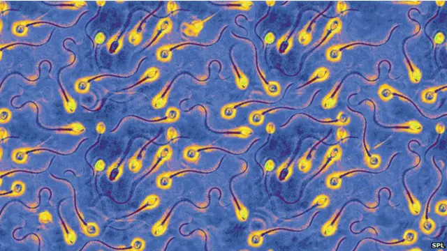 शुक्राणु