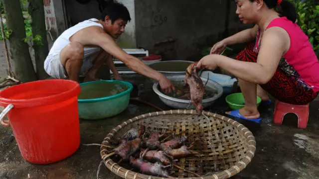 ... sau đó mổ bụng lấy hết nội tạng ra ngoài.