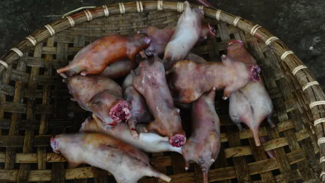Bây giờ mới tới lúc chế biến thành các món ăn hấp dẫn.