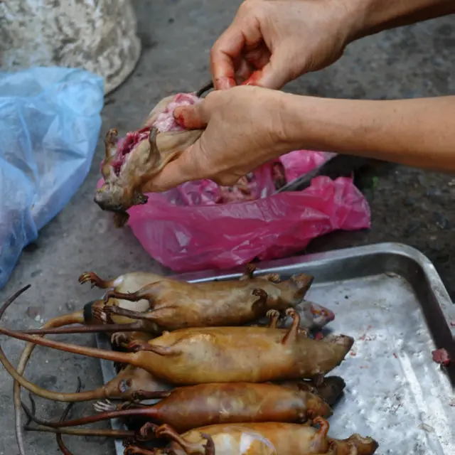 Hoặc mang ra chợ bán.