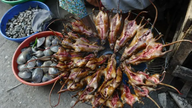 Một ký lô thịt chuột có giá khoảng 100.000 đồng.