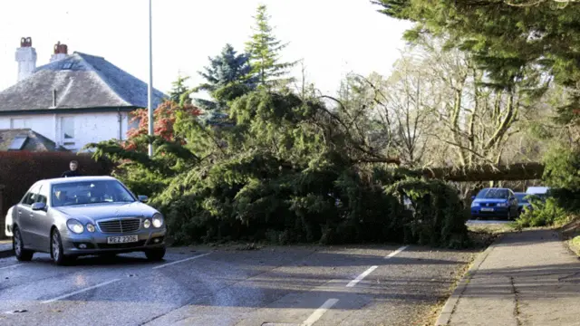 جمعرات کی صبح سڑکوں پر گرے ہوئے درختوں سے ڈرائیوروں کو بہت پریشانی کا سامنا کرنا پڑا۔ 