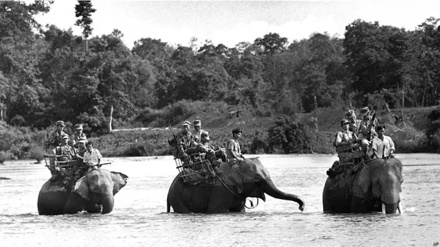 جنوبی ویت نام کے فوجی ہاتھیوں پر سوار دریا عبور کرتے ہوئے۔