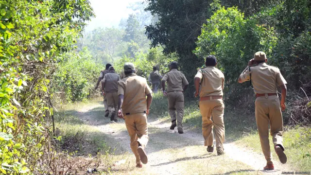 मैसूर, कर्नाटक, आदमखोर बाघ का आतंक, बांदीपुर टाइगर रिज़र्व, पुलिस की टीम