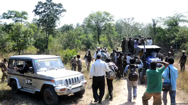 मैसूर, कर्नाटक, आदमखोर बाघ का आतंक, बांदीपुर टाइगर रिज़र्व, पुलिस की टीम