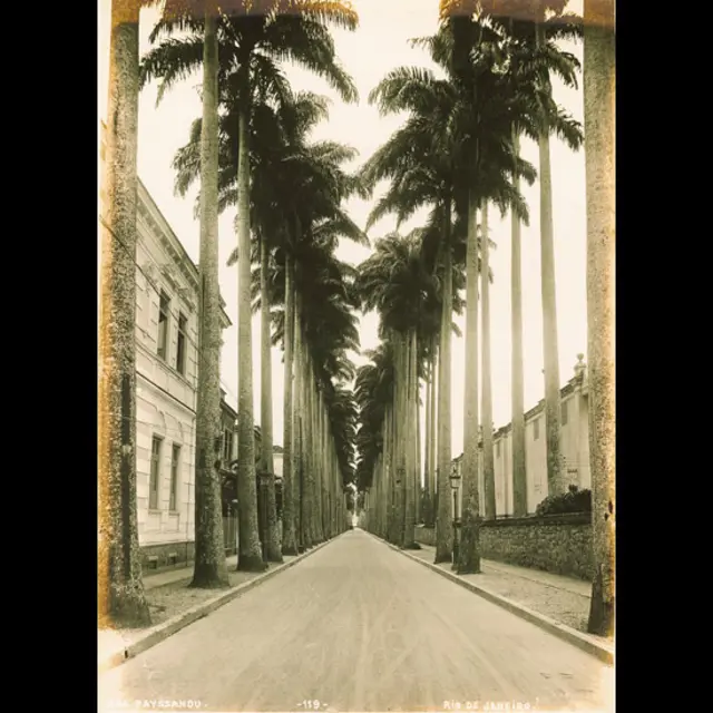 Foto: Autoría desconocida. Calle Paissandú