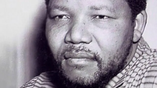 پیشے کے لحاظ سے مینڈیلا ایک وکیل تھے