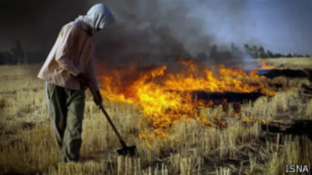 کارگران فصلی هفت تپه خواستار رسیدگی به مطالبات صنفی خود هستند