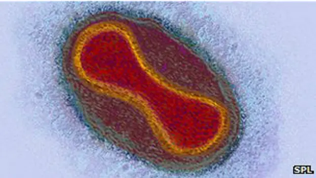 Partícula del virus de la viruela