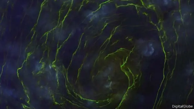 цвітіння водоростей