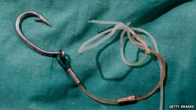 फिशिंग स्कैम