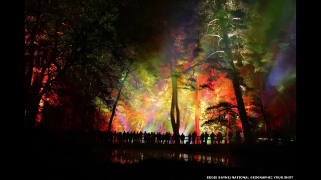 صورة إيدي باين لعرض للأضواء في اسكتلندا. 