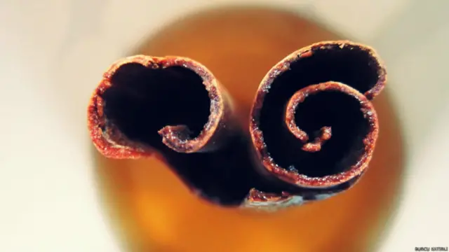 Burcu Katırlı: Kabuk tarçın