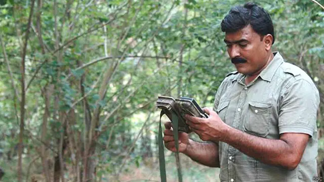 कृष्णा तिवारी