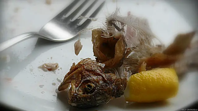 Hale Çevikoğlu: Balıkların yaşamı, bir oltanın ucundaki yemi kapana kadar...