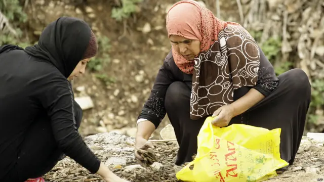 استخدام الحطب للتدفئة في البرد القارس. الصورة لمخيم في صيدا بلبنان. 