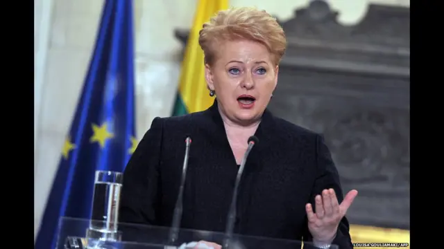 داليا جريبوسكايتي، رئيسة لتوانيا منذ 2009، وهي أول رئيسة للبلاد.