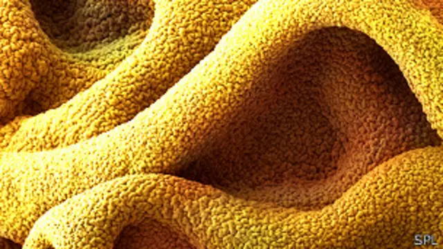 Superpegamento visto con un microscopio de electrones