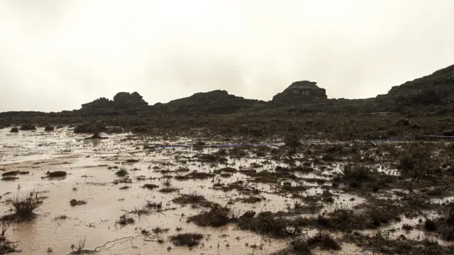 Roraima, Venezuela. Miguel Braceli. Proyecto Colectivo