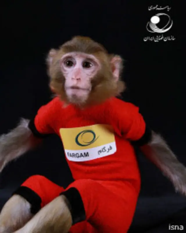 این میمون با حامل سوخت مایع به فضا فرستاده شد