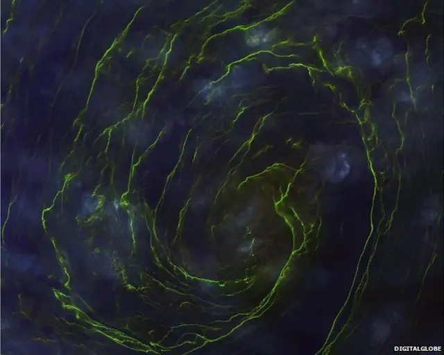 शैवाल समूह