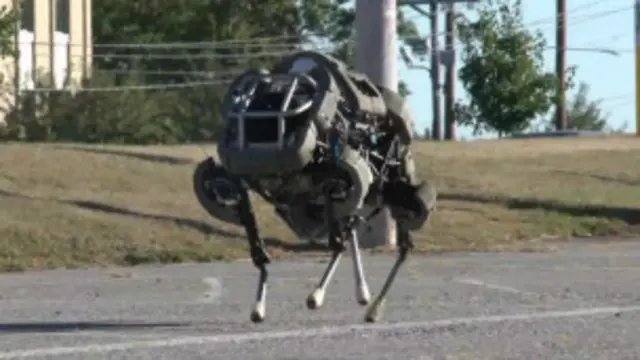 Wildcat es uno de los desarrollos de Boston Dynamics. Puede galopar y girar.