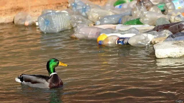 Jumlah sampah plastik sama dengan lima kantong belanja berisi plastik untuk setiap meter garis pantai dunia.
