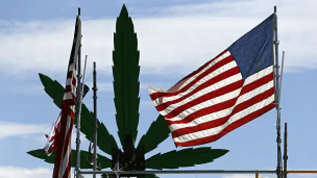 مطابق گزارش سالانه سازمان ملل متحد، حدود ۸ درصد از جمعیت آمریکا مصرف تقننی یا دائمی ماریجوآنا را تجربه کرده‌اند