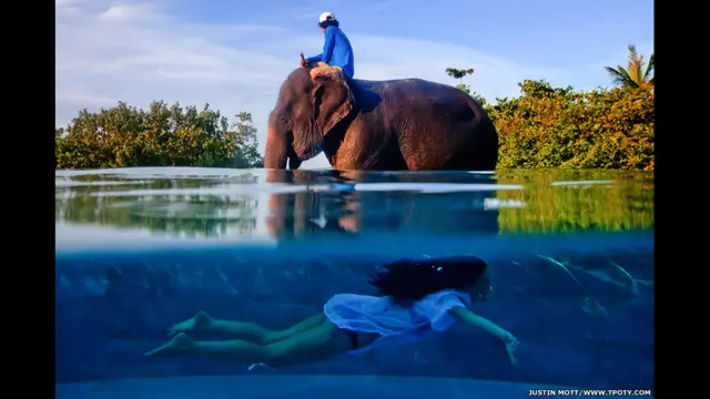 Osmirlar jinsiy aloqa videolarini onlayn tomosha qiling