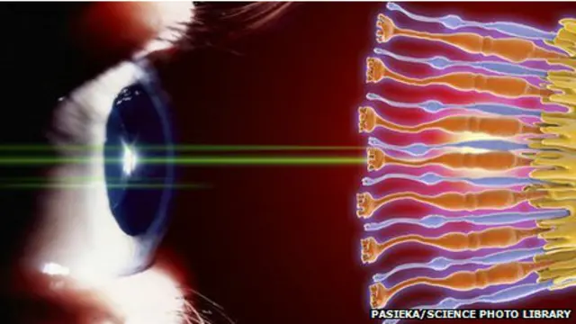 Ilustración de ojo y retina