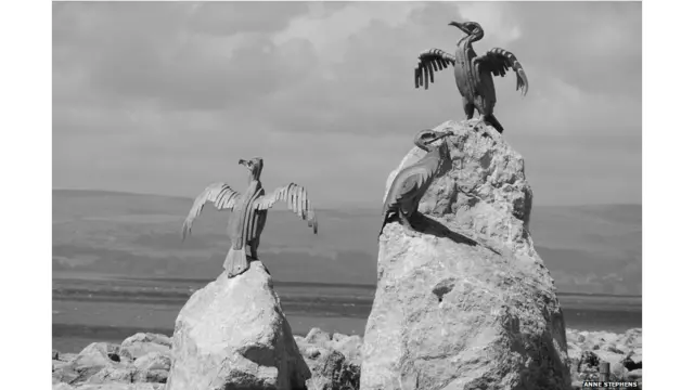 बीबीसी पाठकों की भेजी तस्वीरें