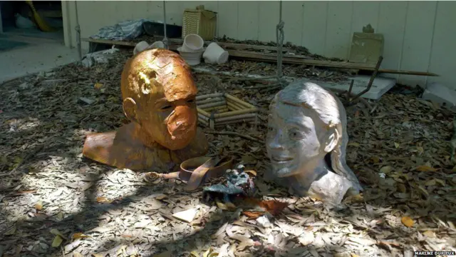 बीबीसी पाठकों की भेजी तस्वीरें