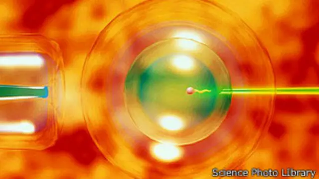 Fertilização in vitro. Foto: SPL