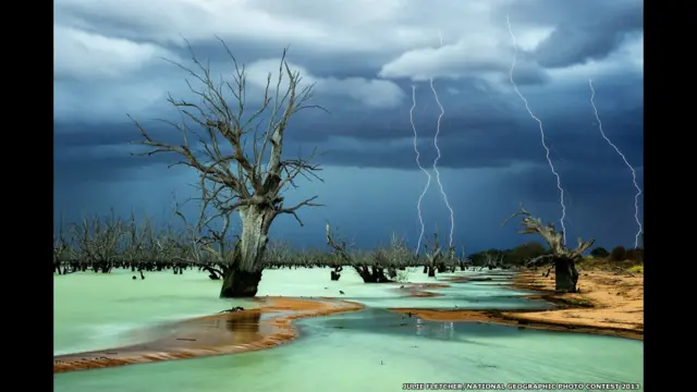 Cemitério, por Julie Fletcher